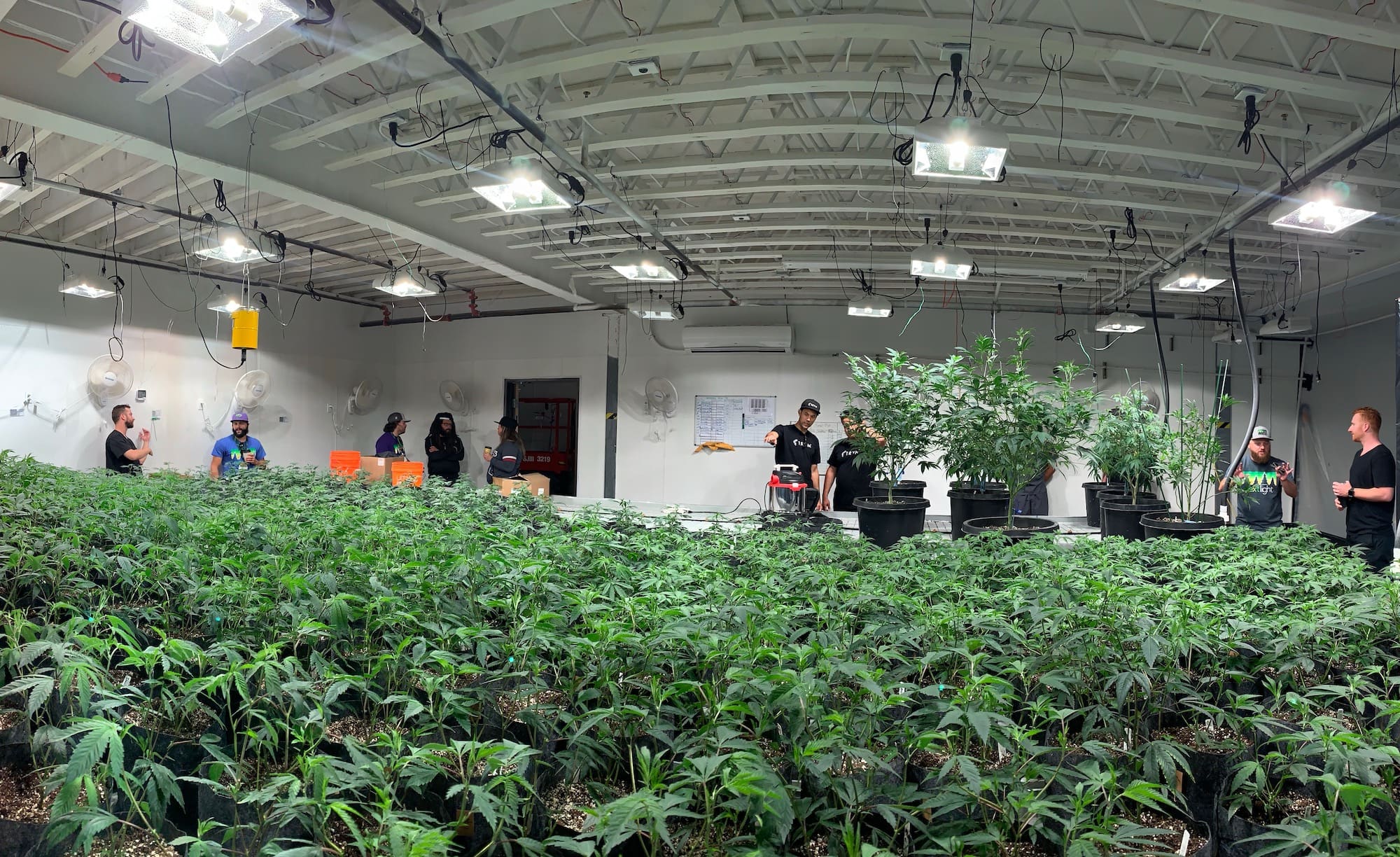 Grow Room Automation Tips [Fully Automate Your Grow Room]